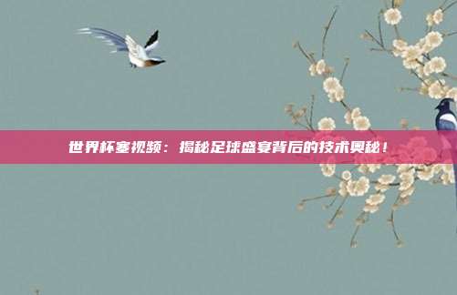 世界杯塞视频：揭秘足球盛宴背后的技术奥秘！