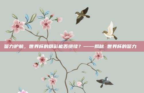 警力护航，世界杯的精彩能否继续？——揭秘 世界杯的警力 