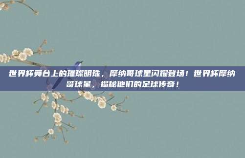世界杯舞台上的璀璨明珠，摩纳哥球星闪耀登场！世界杯摩纳哥球星，揭秘他们的足球传奇！