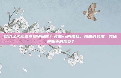 复仇之火能否点燃郁金香？荷兰vs阿根廷，梅西的最后一舞还是新王的加冕？