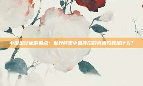 中国足球迷的痛点：世界杯黑中国背后的真相究竟是什么？