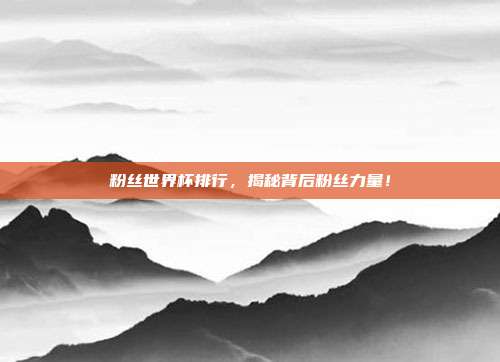 粉丝世界杯排行，揭秘背后粉丝力量！