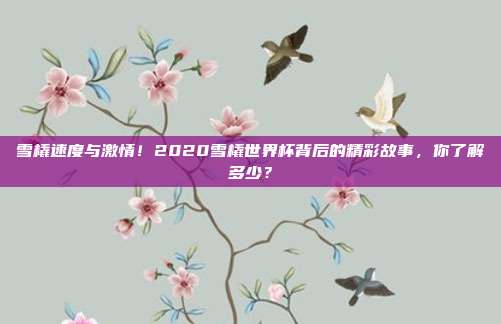 雪橇速度与激情！2020雪橇世界杯背后的精彩故事，你了解多少？