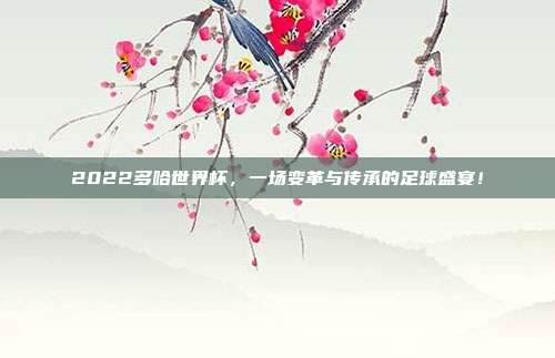 2022多哈世界杯，一场变革与传承的足球盛宴！