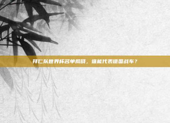 拜仁队世界杯名单揭晓，谁能代表德国战车？