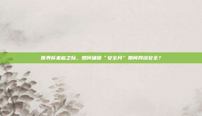 世界杯来临之际，如何确保“安全月”期间网络安全？