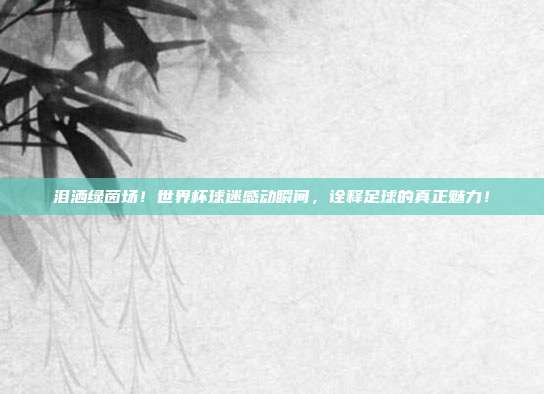 泪洒绿茵场！世界杯球迷感动瞬间，诠释足球的真正魅力！