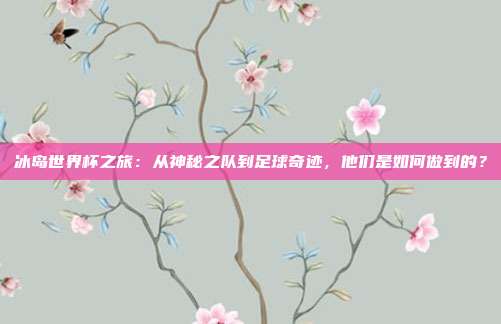 冰岛世界杯之旅：从神秘之队到足球奇迹，他们是如何做到的？