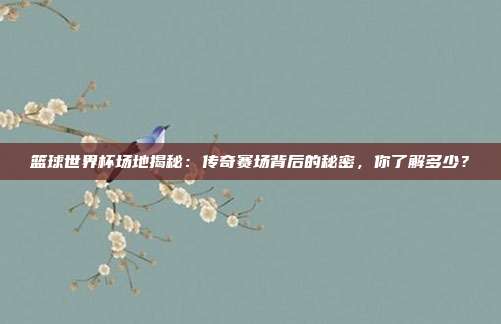 篮球世界杯场地揭秘：传奇赛场背后的秘密，你了解多少？