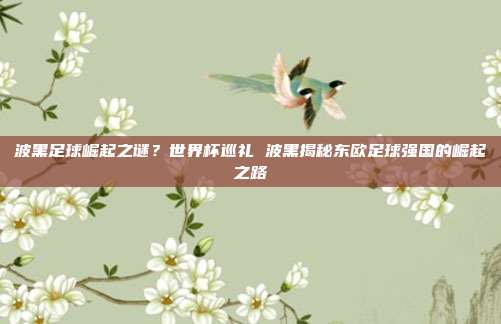波黑足球崛起之谜？世界杯巡礼 波黑揭秘东欧足球强国的崛起之路