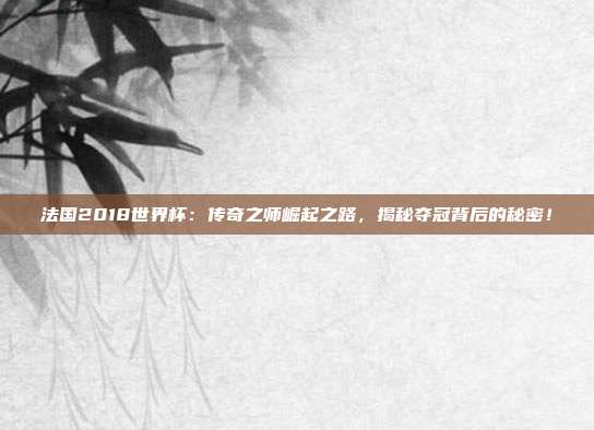 法国2018世界杯：传奇之师崛起之路，揭秘夺冠背后的秘密！