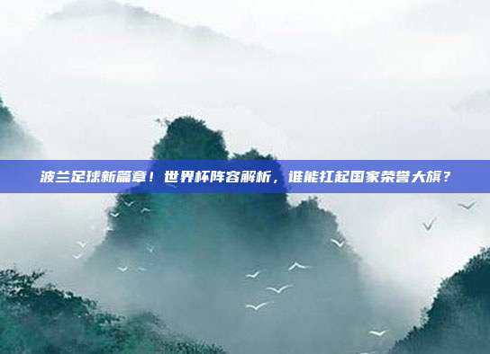 波兰足球新篇章！世界杯阵容解析，谁能扛起国家荣誉大旗？