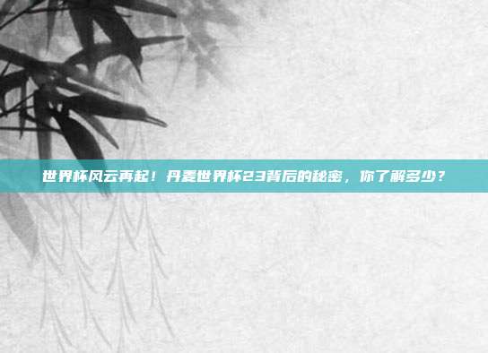 世界杯风云再起！丹麦世界杯23背后的秘密，你了解多少？