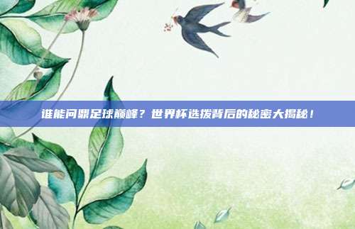 谁能问鼎足球巅峰？世界杯选拨背后的秘密大揭秘！