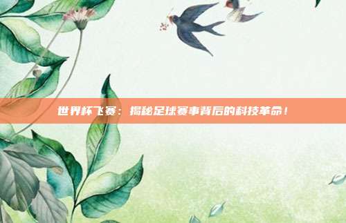 世界杯飞赛：揭秘足球赛事背后的科技革命！