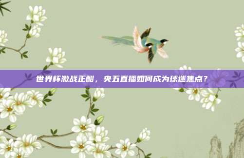 世界杯激战正酣，央五直播如何成为球迷焦点？