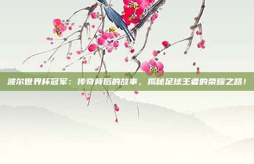 波尔世界杯冠军：传奇背后的故事，揭秘足球王者的荣耀之路！