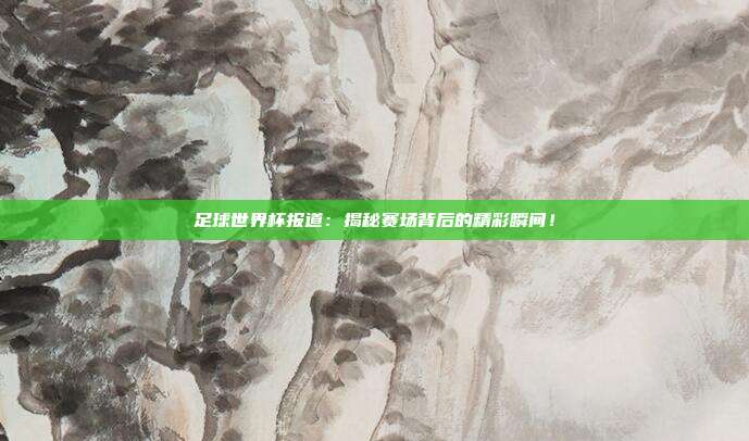 足球世界杯报道：揭秘赛场背后的精彩瞬间！