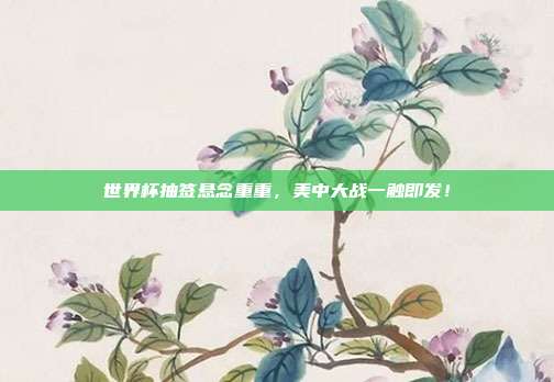 世界杯抽签悬念重重，美中大战一触即发！