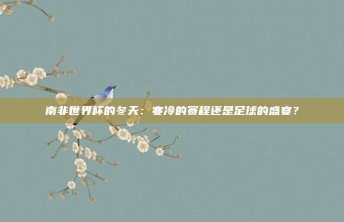 南非世界杯的冬天：寒冷的赛程还是足球的盛宴？