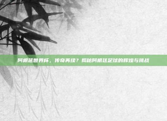 阿根延世界杯，传奇再续？揭秘阿根廷足球的辉煌与挑战