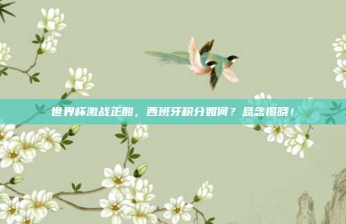 世界杯激战正酣，西班牙积分如何？悬念揭晓！