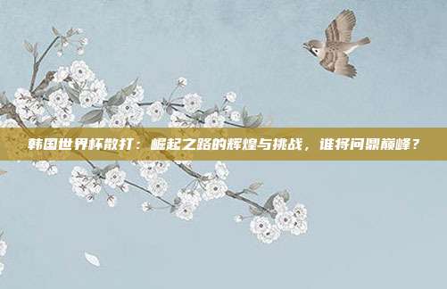 韩国世界杯散打：崛起之路的辉煌与挑战，谁将问鼎巅峰？
