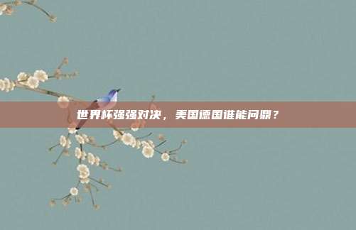世界杯强强对决，美国德国谁能问鼎？