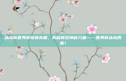 冰岛队世界杯惊艳亮相，揭秘背后神秘力量——世界杯冰岛西服！