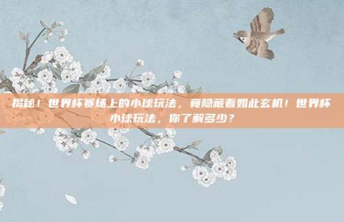 揭秘！世界杯赛场上的小球玩法，竟隐藏着如此玄机！世界杯小球玩法，你了解多少？