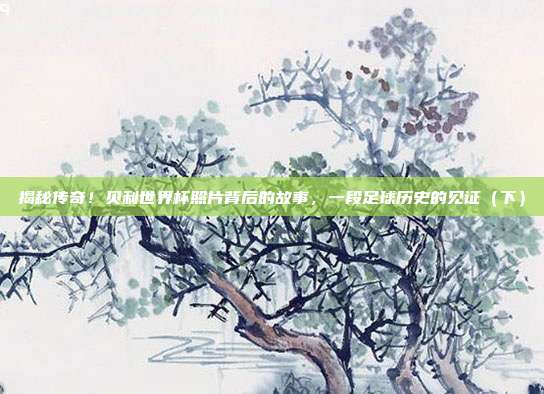 揭秘传奇！贝利世界杯照片背后的故事，一段足球历史的见证（下）