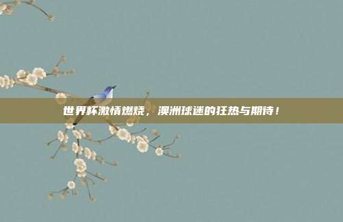 世界杯激情燃烧，澳洲球迷的狂热与期待！