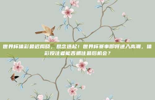世界杯体彩最迟揭晓，悬念迭起！世界杯赛事即将进入高潮，体彩投注者能否抓住最后机会？