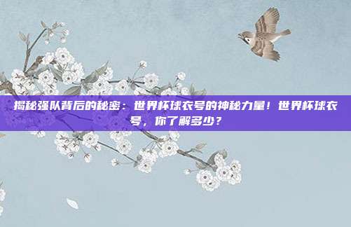 揭秘强队背后的秘密：世界杯球衣号的神秘力量！世界杯球衣号，你了解多少？