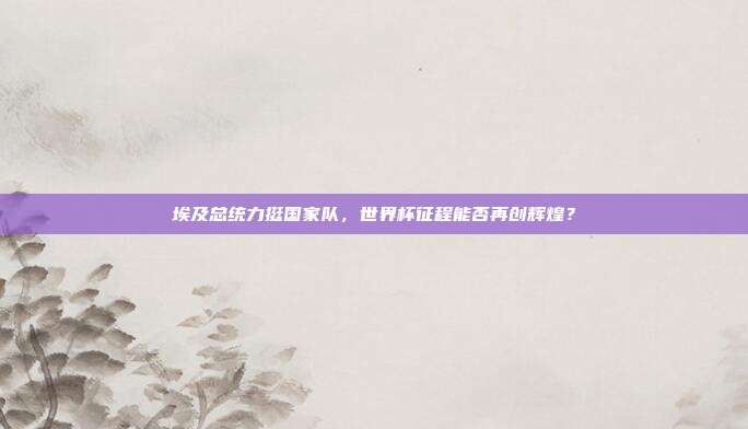 埃及总统力挺国家队，世界杯征程能否再创辉煌？