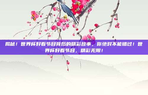 揭秘！世界杯好看节目背后的精彩故事，你绝对不能错过！世界杯好看节目，精彩无限！