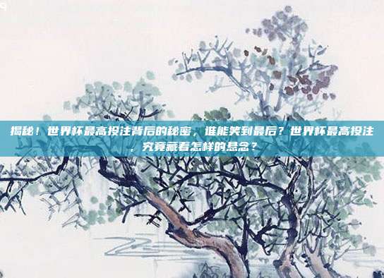 揭秘！世界杯最高投注背后的秘密，谁能笑到最后？世界杯最高投注，究竟藏着怎样的悬念？