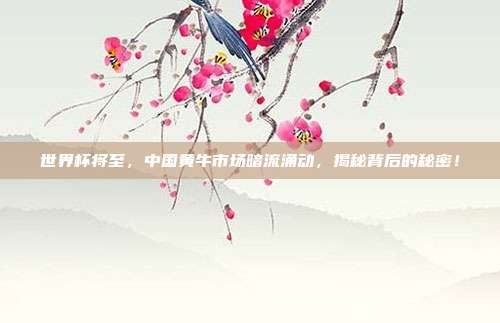 世界杯将至，中国黄牛市场暗流涌动，揭秘背后的秘密！