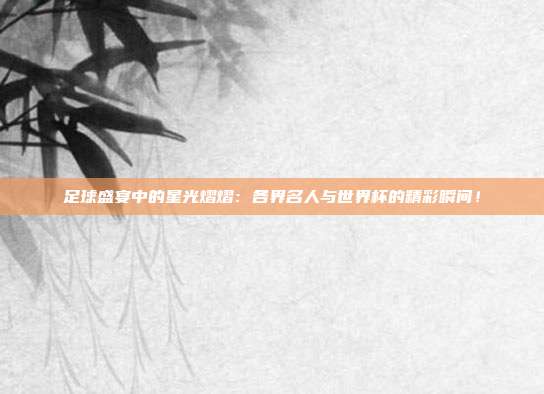 足球盛宴中的星光熠熠：各界名人与世界杯的精彩瞬间！