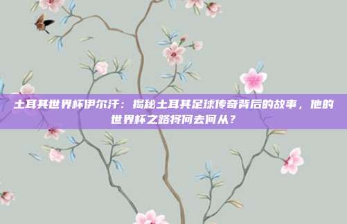 土耳其世界杯伊尔汗：揭秘土耳其足球传奇背后的故事，他的世界杯之路将何去何从？