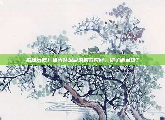揭秘历史！世界杯足彩的精彩瞬间，你了解多少？