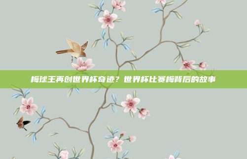 梅球王再创世界杯奇迹？世界杯比赛梅背后的故事