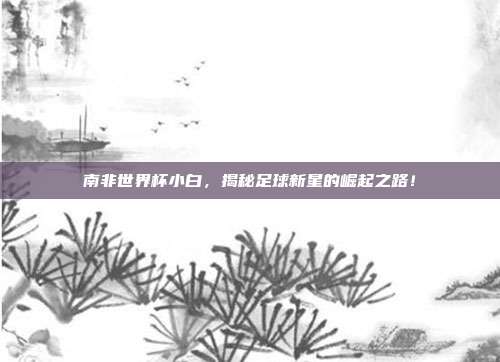 南非世界杯小白，揭秘足球新星的崛起之路！