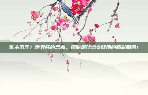 谁主沉浮？世界杯的盘点，揭秘足球盛宴背后的精彩瞬间！
