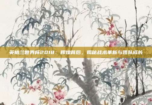 英格兰世界杯2018：辉煌背后，揭秘战术革新与团队成长