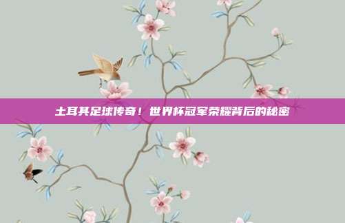 土耳其足球传奇！世界杯冠军荣耀背后的秘密