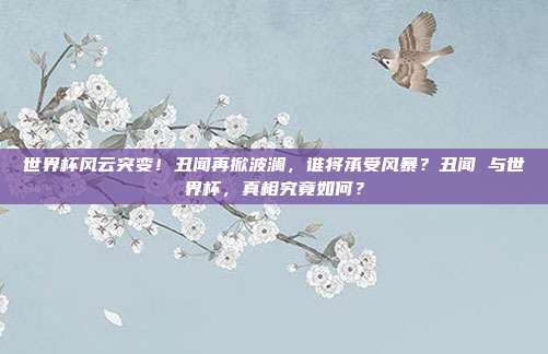 世界杯风云突变！丑闻再掀波澜，谁将承受风暴？丑闻 与世界杯，真相究竟如何？