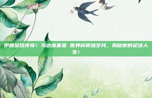 伊朗足球传奇！马达维基亚 世界杯辉煌岁月，揭秘他的足球人生！