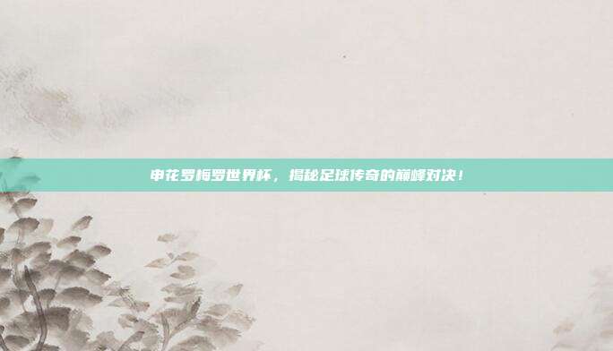 申花罗梅罗世界杯，揭秘足球传奇的巅峰对决！