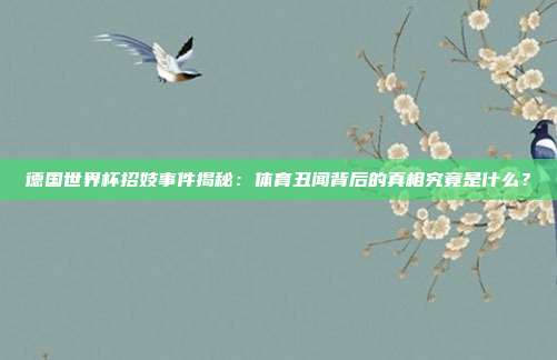 德国世界杯招妓事件揭秘：体育丑闻背后的真相究竟是什么？